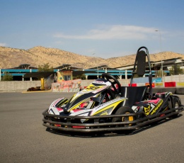 Rally Karting Mall Plaza Sur